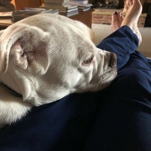 Meet your Posher, Denise